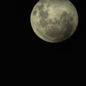 Fondo de pantalla 52